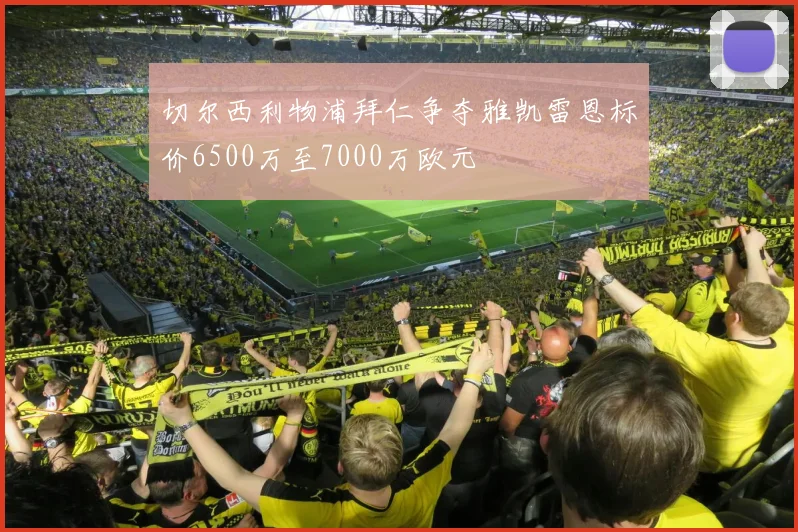 切尔西利物浦拜仁争夺雅凯雷恩标价6500万至7000万欧元