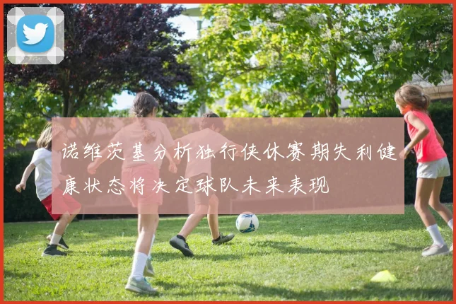 诺维茨基分析独行侠休赛期失利健康状态将决定球队未来表现
